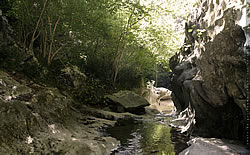 2560 x 1600 Zuggaramurdi Photo Wallpaper